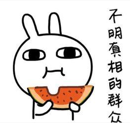 别人回复吃瓜什么意思,揭秘“吃瓜”一词背后的网络文化现象  第2张