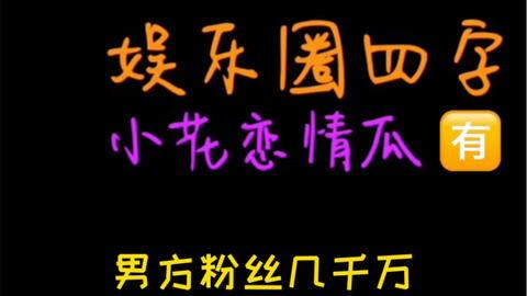 娱乐圈吃瓜词语,揭秘明星幕后风云  第3张