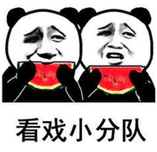 吃瓜表情包暗示着什么意思啊图片,揭秘网络社交中的隐秘心理  第2张