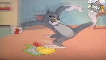 吃娱乐瓜tom猫的微博,Tom猫微博揭秘娱乐圈幕后故事  第2张