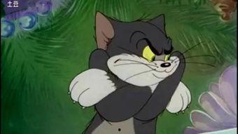 吃娱乐瓜tom猫的微博,Tom猫微博揭秘娱乐圈幕后故事  第3张